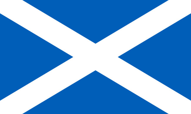 Flag question 1