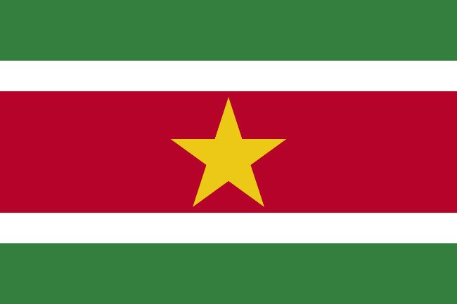 Flag question 8