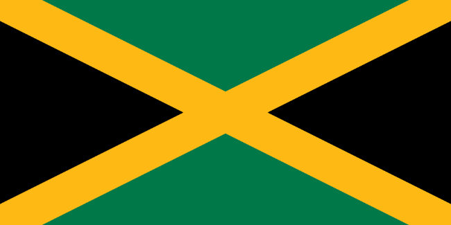 Question 9 flag
