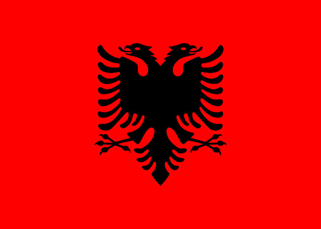 Flag question 4