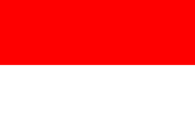 Flag question 7