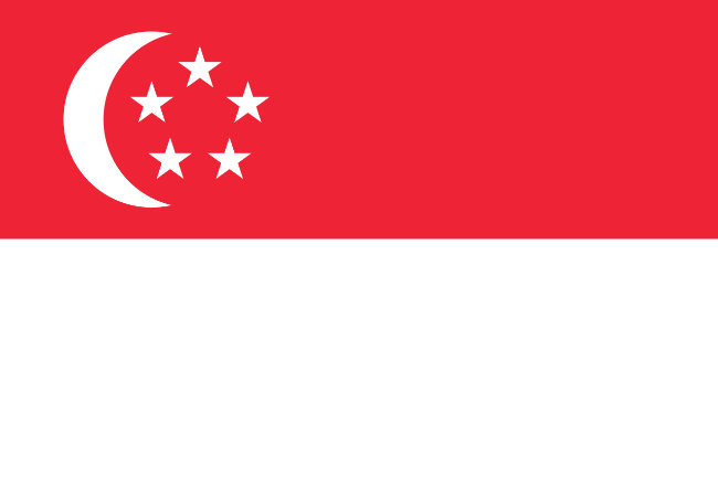 Flag question 9