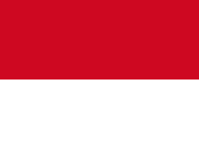 Flag question 2