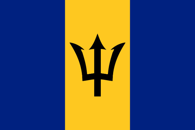 Flag question 4