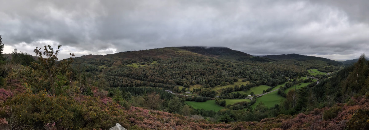 The view from the top The view from the top