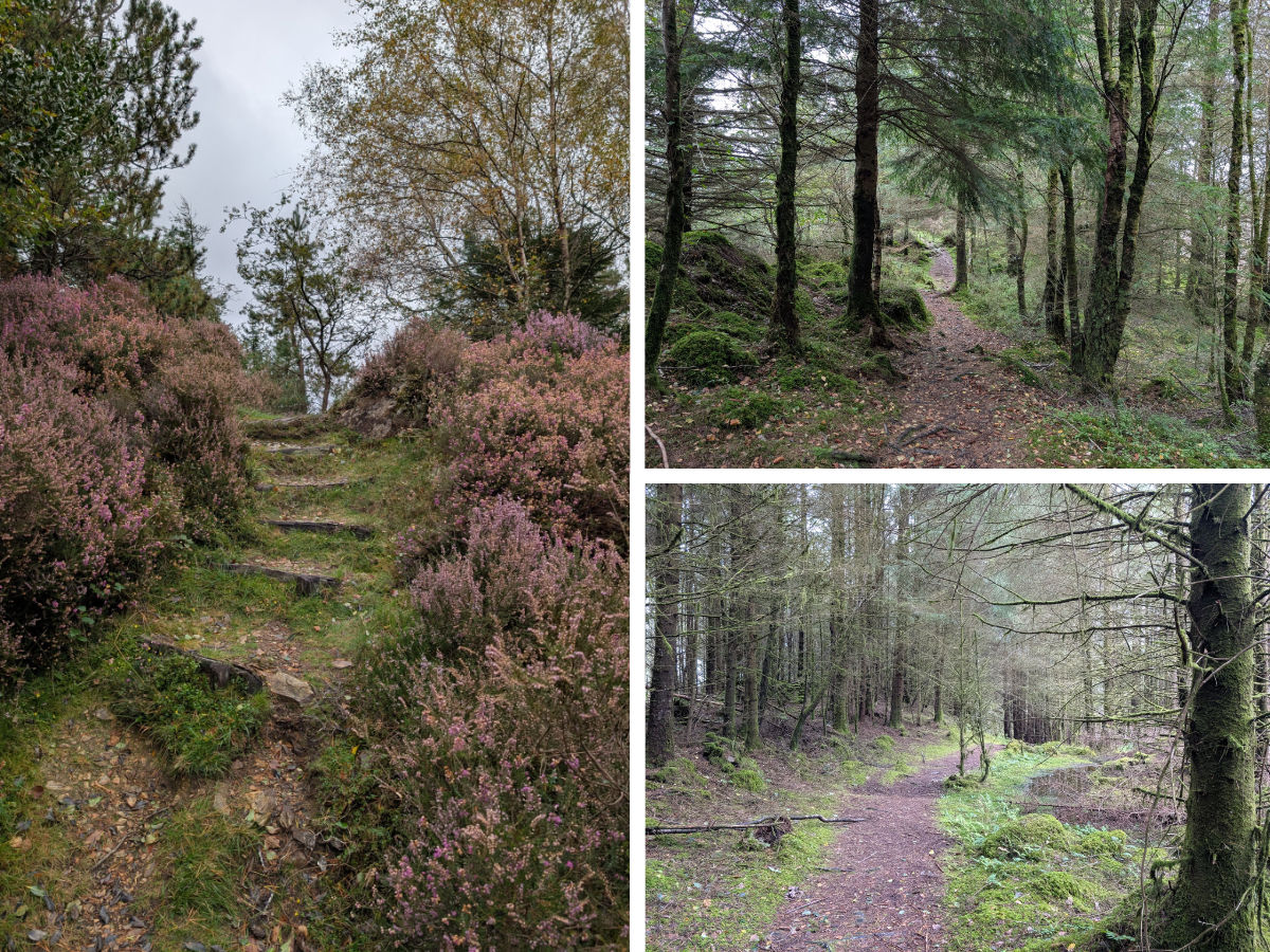 Making our way back to the start Making our way back to the start