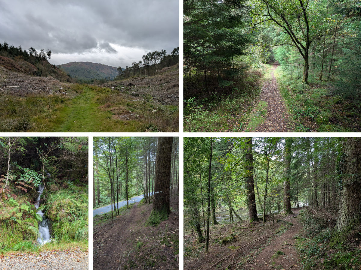 The final stretches The final stretches