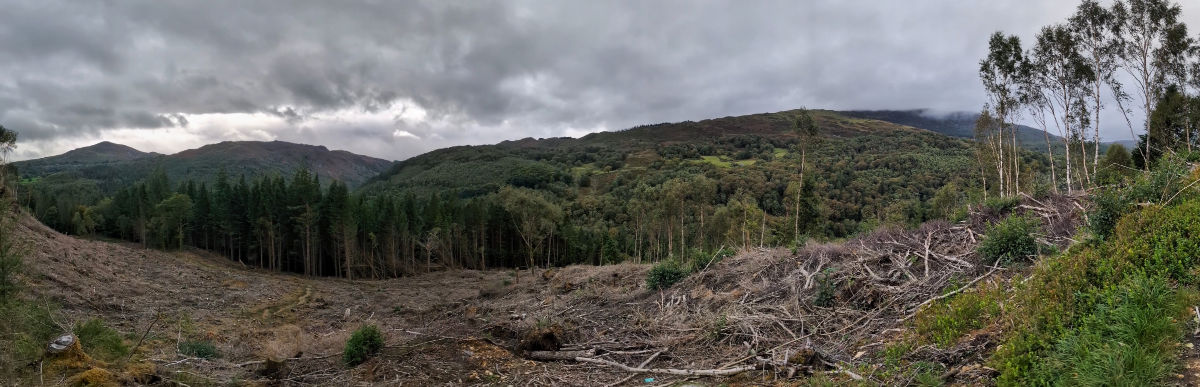 The views are already incredible part way up! The views are already incredible part way up!