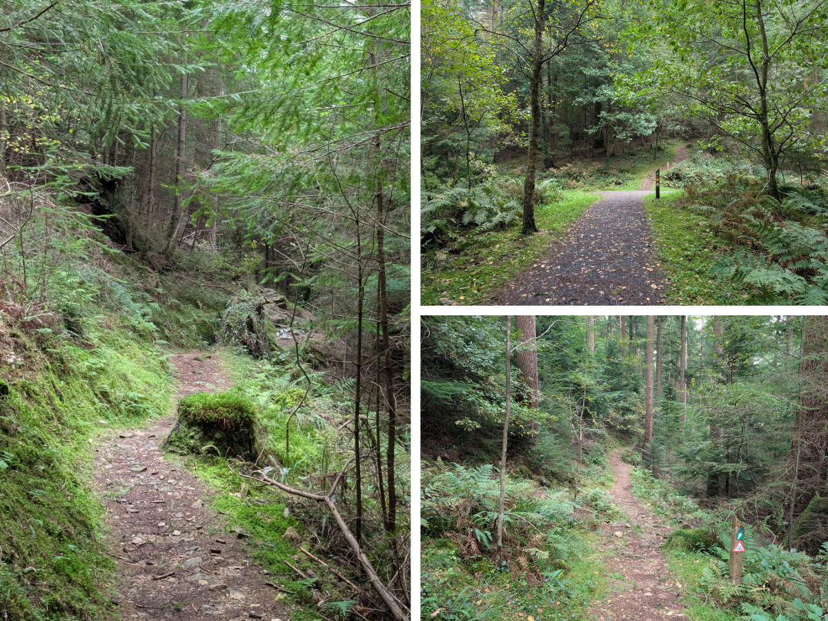 The trails begin to become more challenging The trails begin to become more challenging