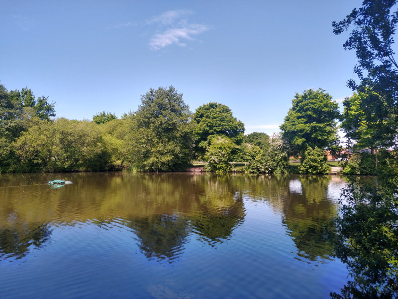 The pond at the nature reserve