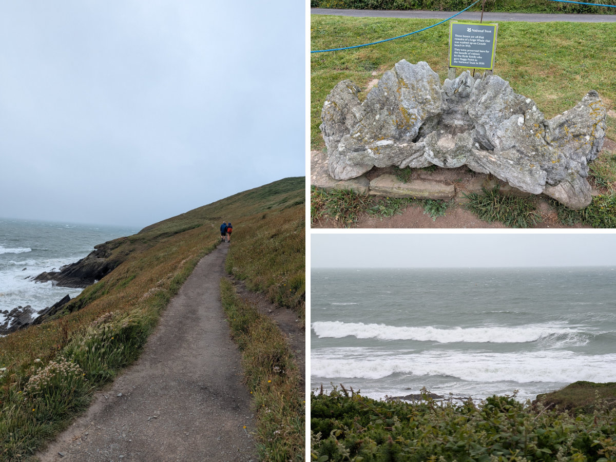 Out towards Baggy Point & The whale bone
