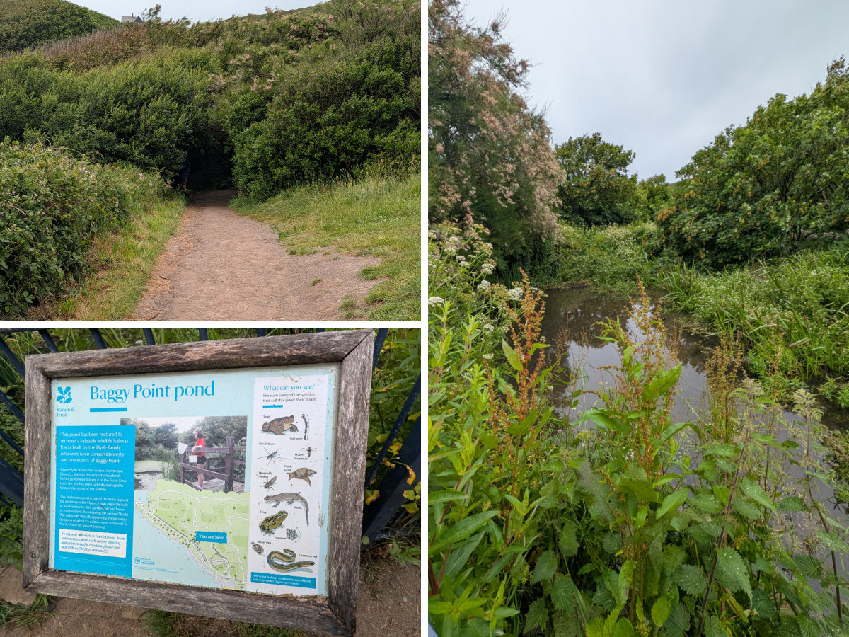 Into Baggy Point Pond