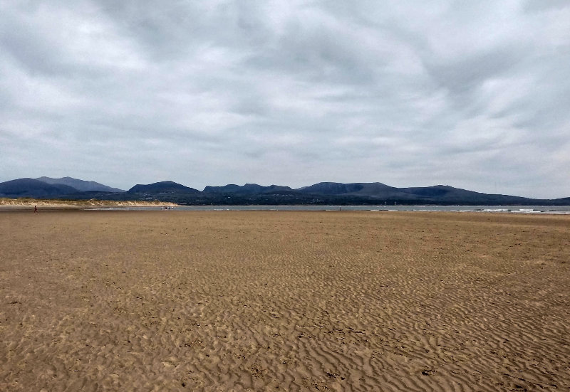 View up the beach