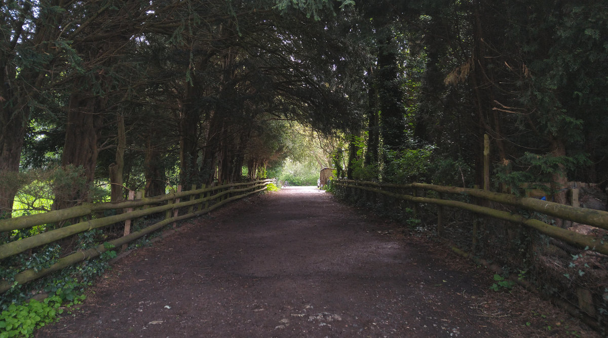 The beautiful entrance walkway