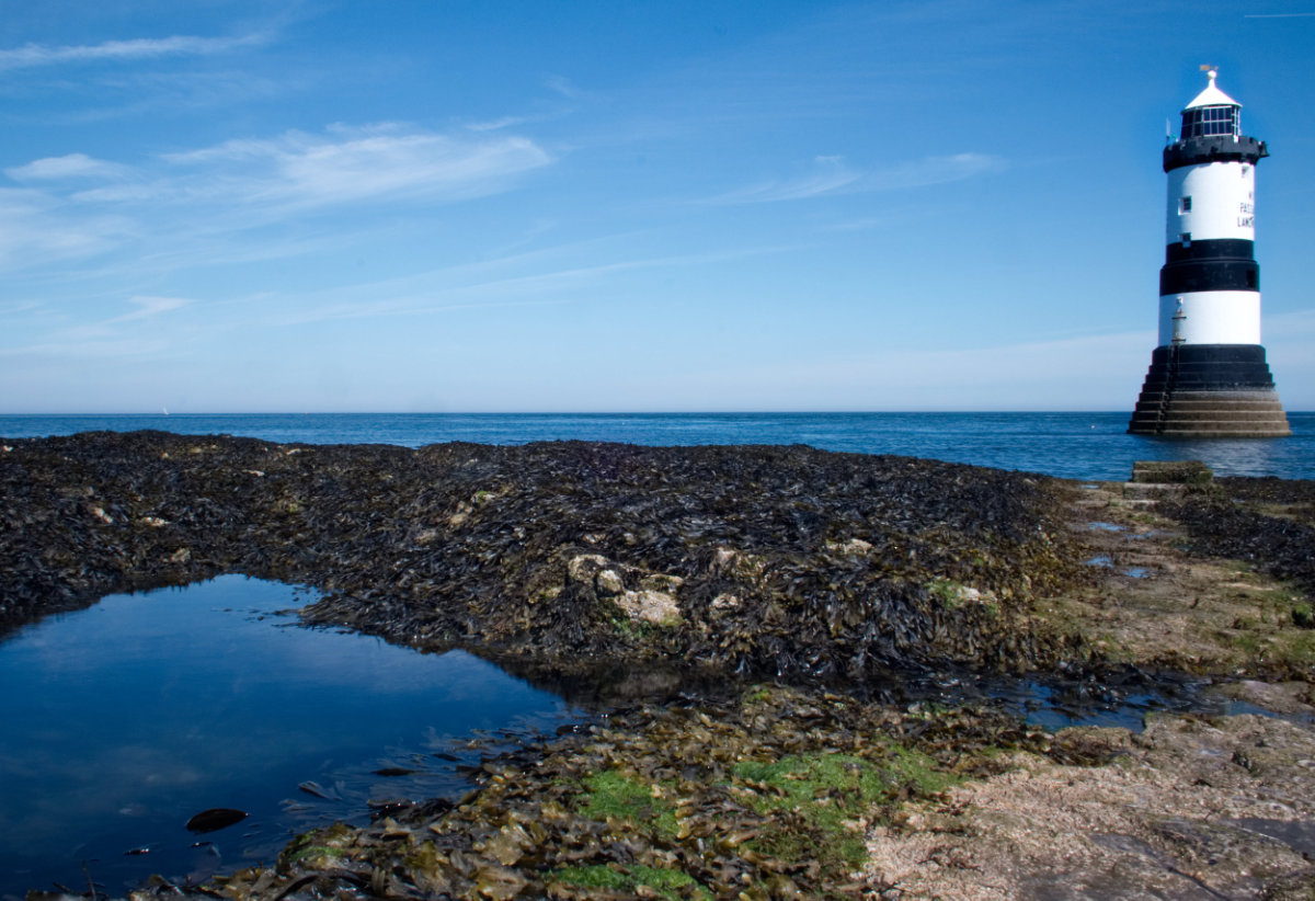 A rock pool on a sunny day at Penmon Point