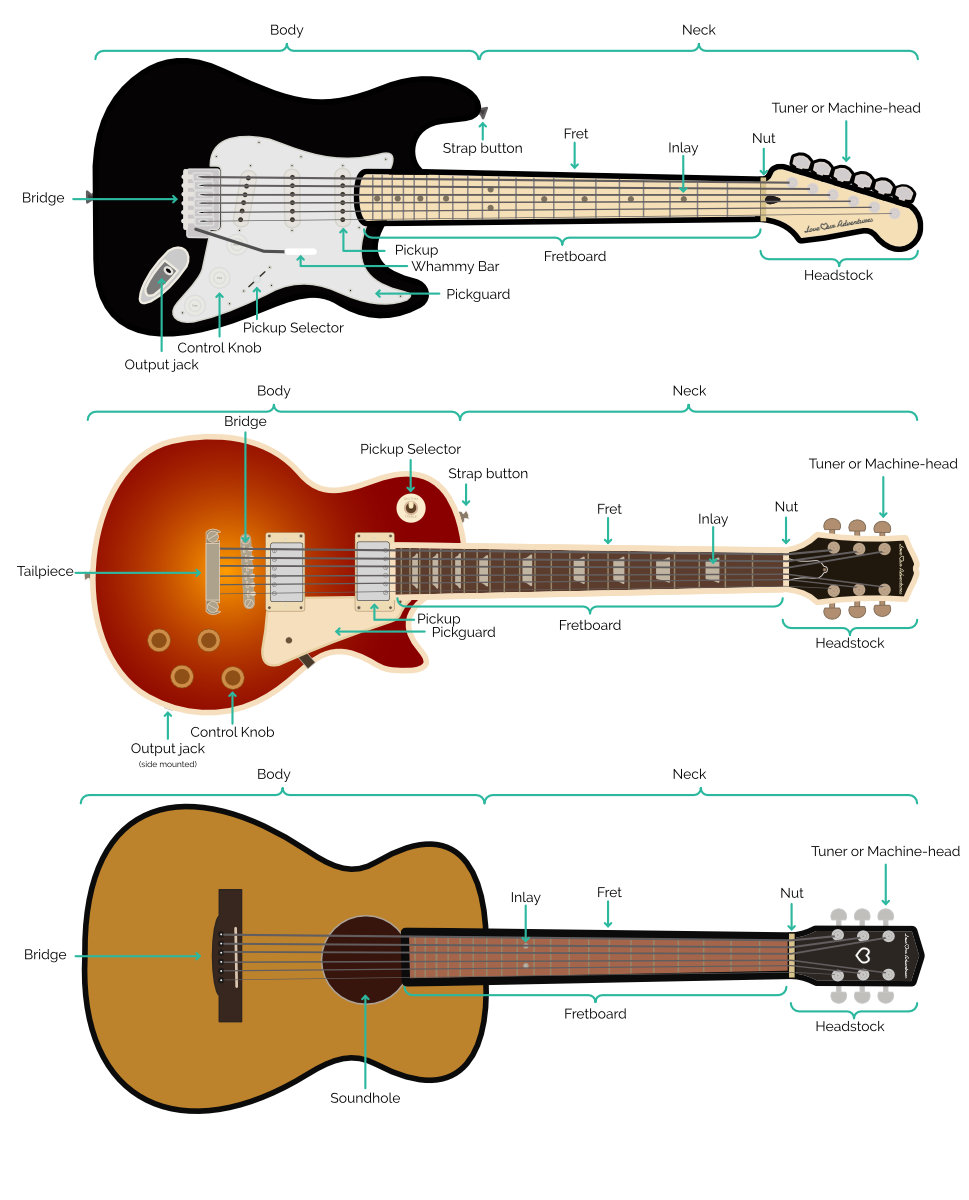 Guitar parts labelled