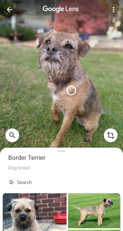 Google Lens Google Lens