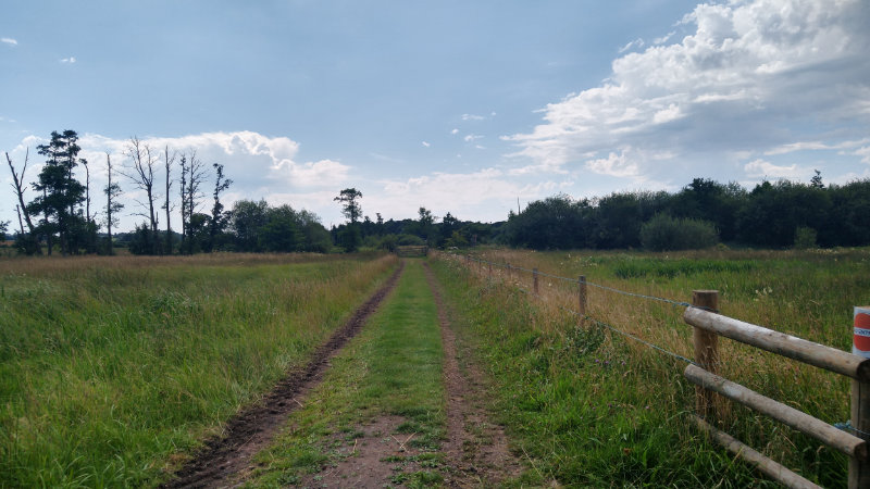 Paths out as far as the eyes can see