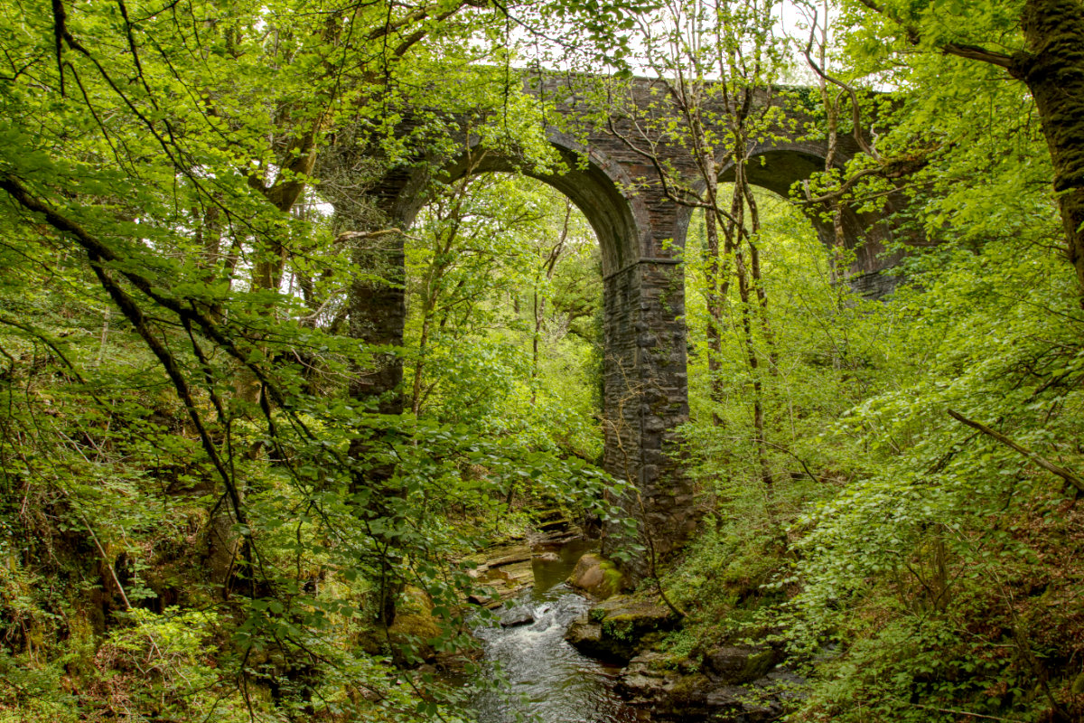 The viaduct in a sea of green