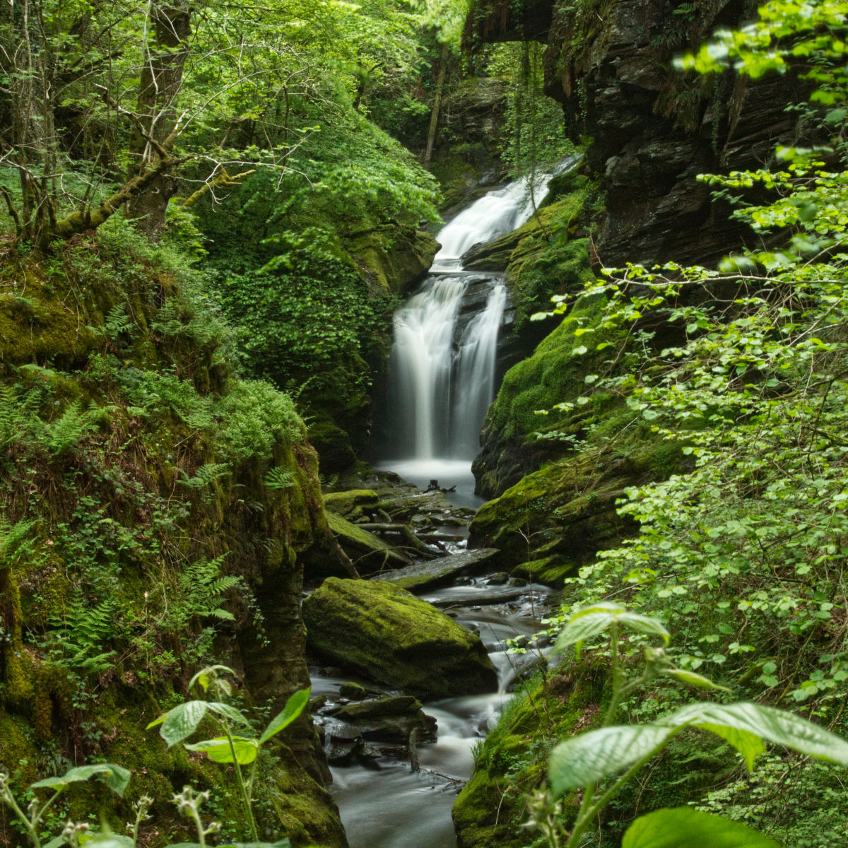 Rhaeadr Cynfal gorge view - incredible!