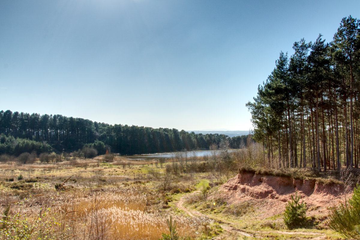 Shoal Hill Common looking at the lake