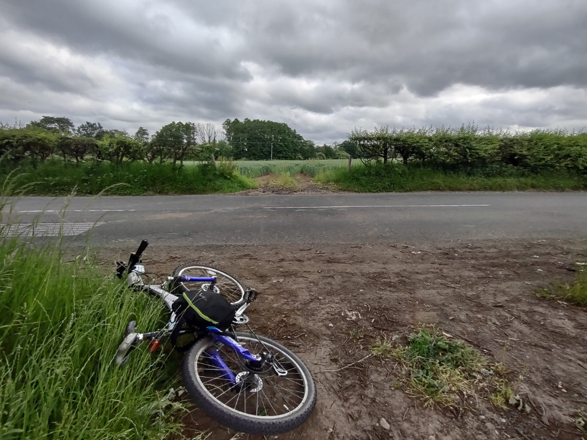 A breather amongst the fields