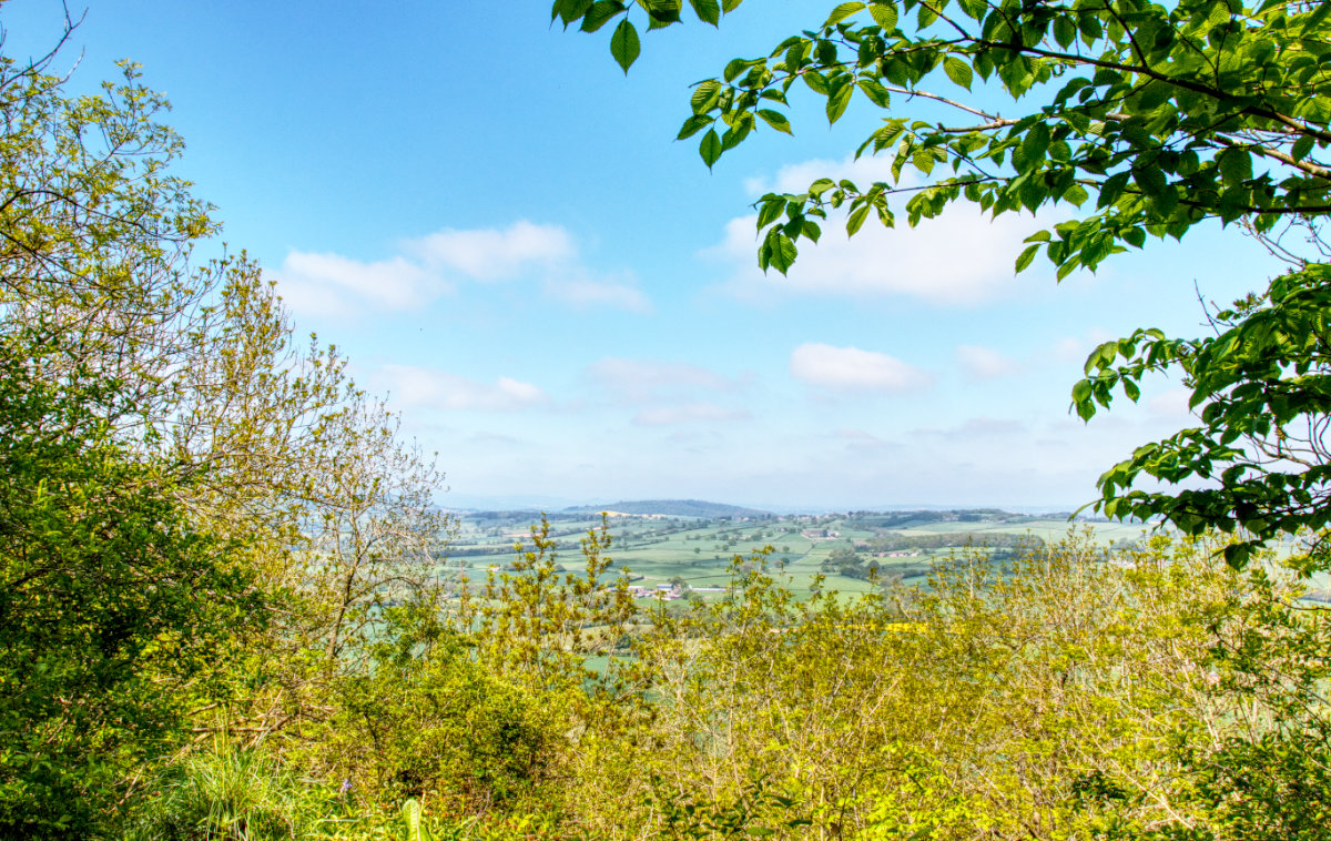 The views from the Major's Leap walk