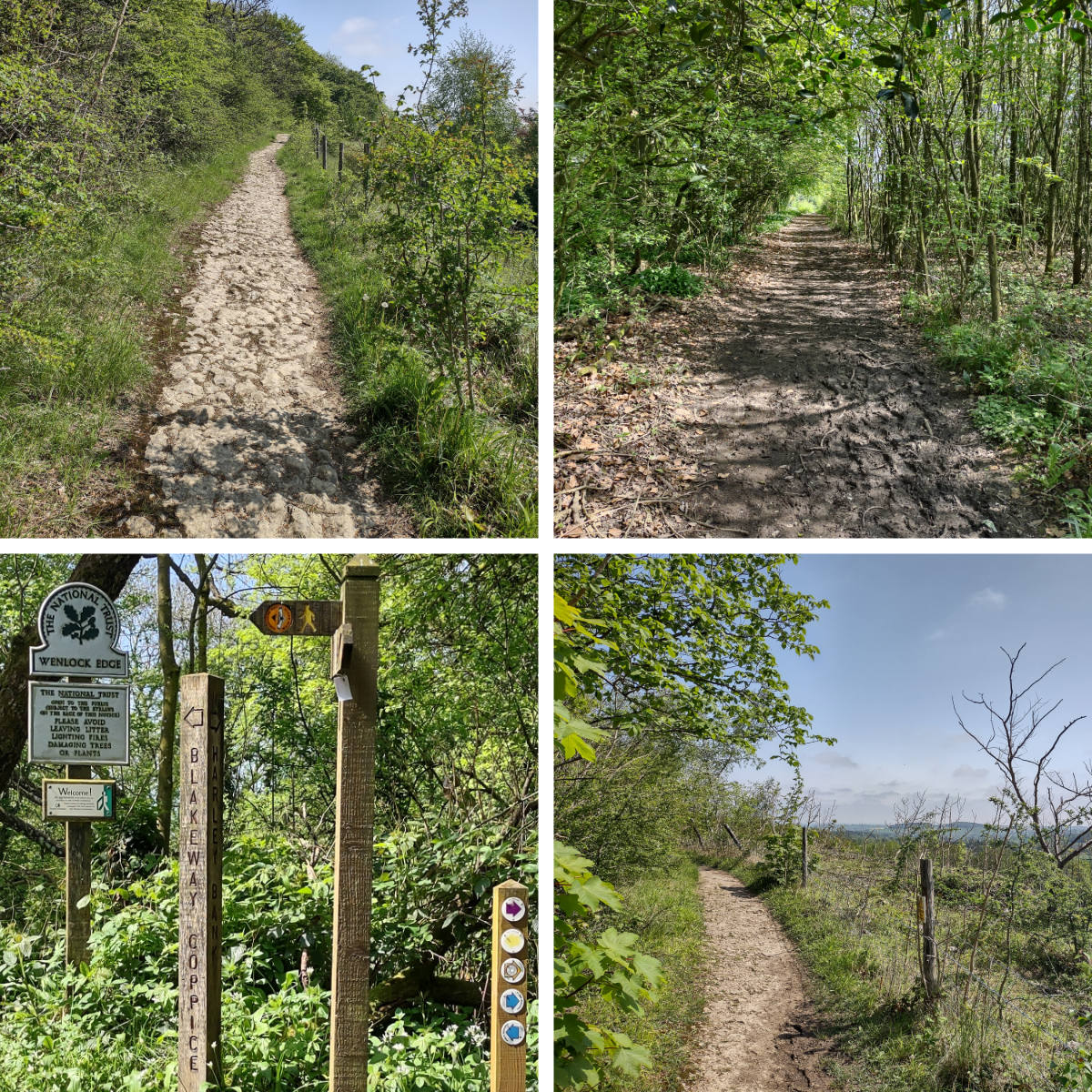 Sights along the first section of Wenlock Edge