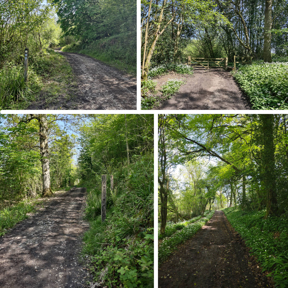 Various sights along the return journey at Wenlock Edge