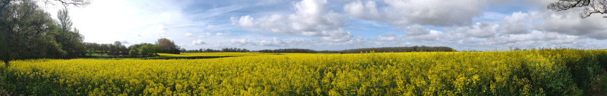 Panorama over the fields, white ladies priory can be seen on the left