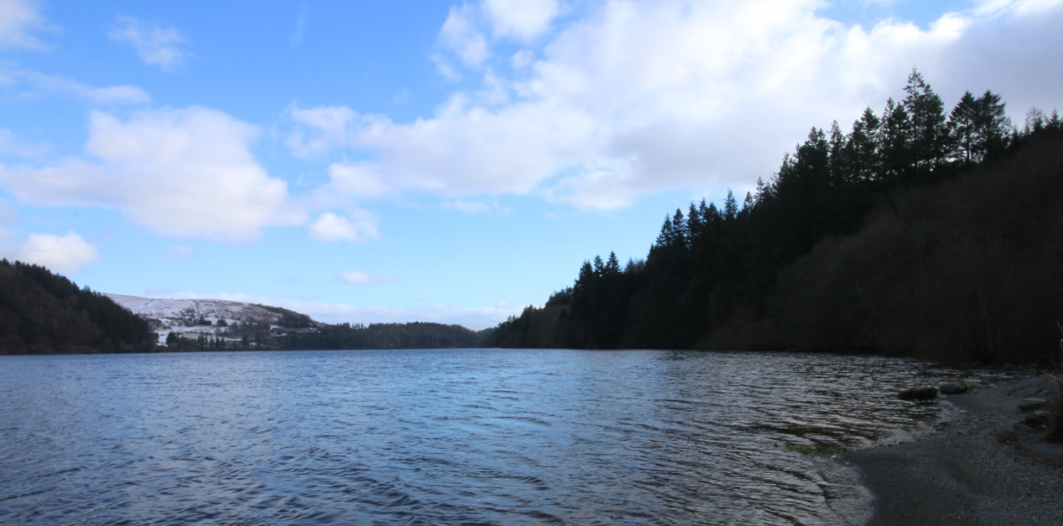 A view out over the lake